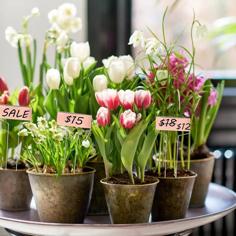GHAMYEE 30pcs Plant Labels Copper Plant Markers for Outdoor Plants 6inch Plant Labels for Seedlings Outdoor Garden Waterproof Plant Tags and Labels for Flower Vegetable Herbs Greenhouse (6 in, Copper) - Image 5